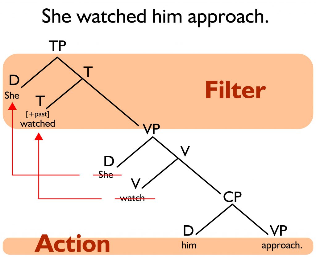 A minimalist syntax tree for the sentence, "She watched him approach." The part of the sentence that describes action, "him approach" lies behind the filter, "She watched," and is thus removed a degree from the narrative.